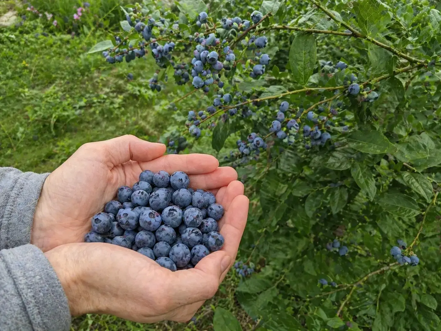 Відгук Сергій
